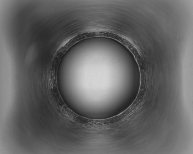 X0000116890871200912221451