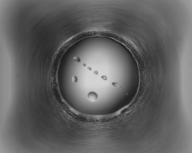 X0000116890872200912221451