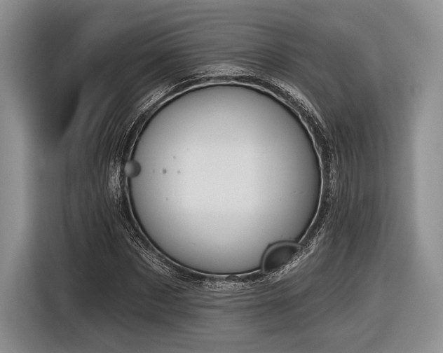 X0000116890873200912221451