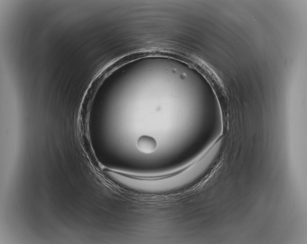 X0000116890876200912221451