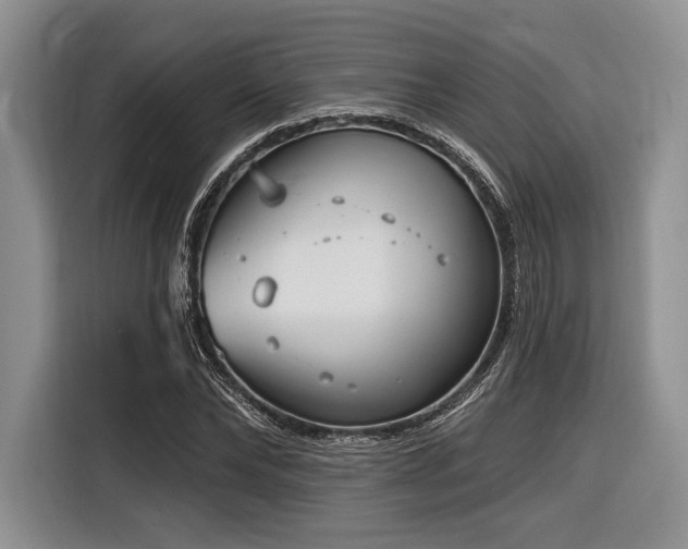 X0000116890878200912221451