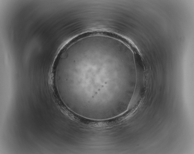 X0000116890879200912221451