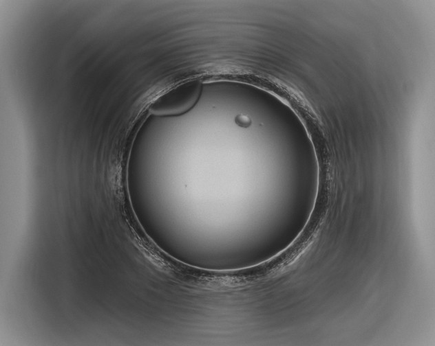 X0000116890881200912221451