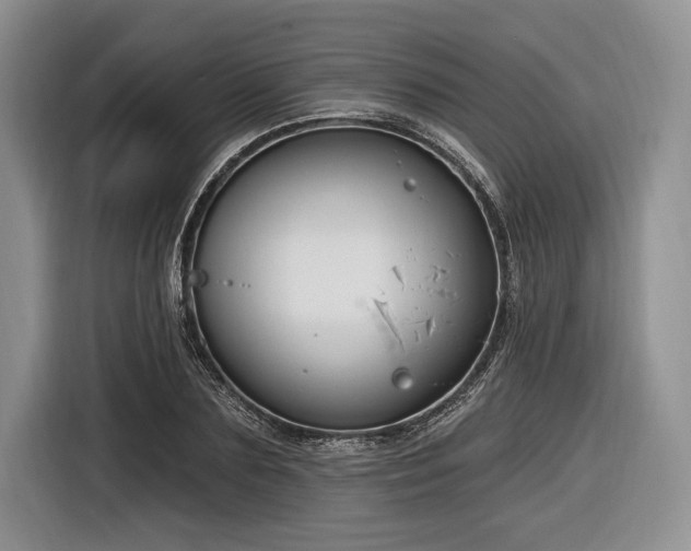 X0000116890883200912221451