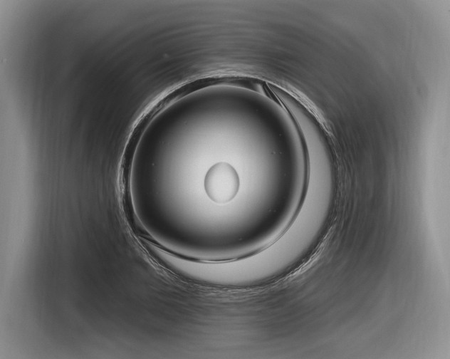 X0000116890885200912221451