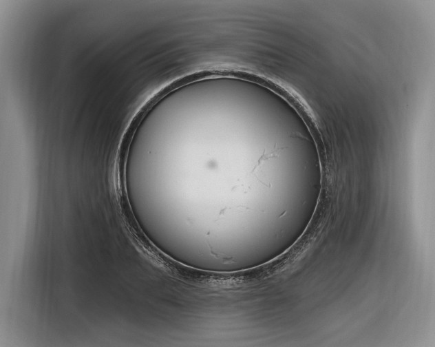 X0000116890887200912221451