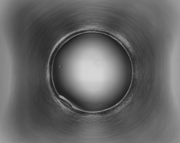 X0000116890888200912221451
