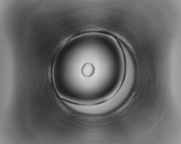 X0000116890889200912221451