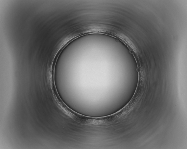 X0000116890890200912221451