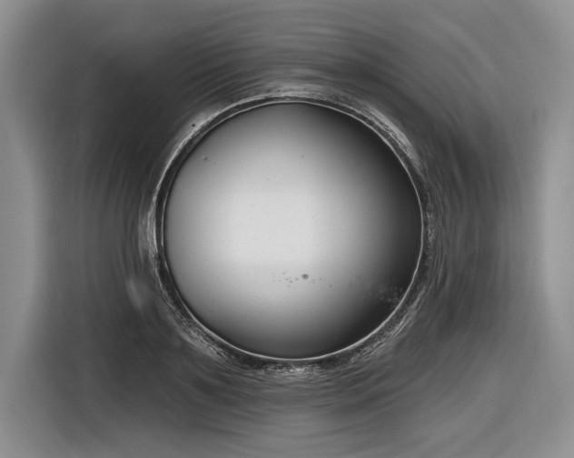 X0000116890891200912221451