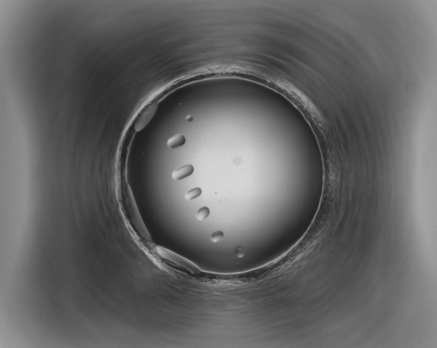 X0000116890894200912221451