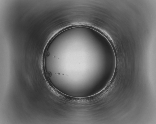 X0000116890895200912221451