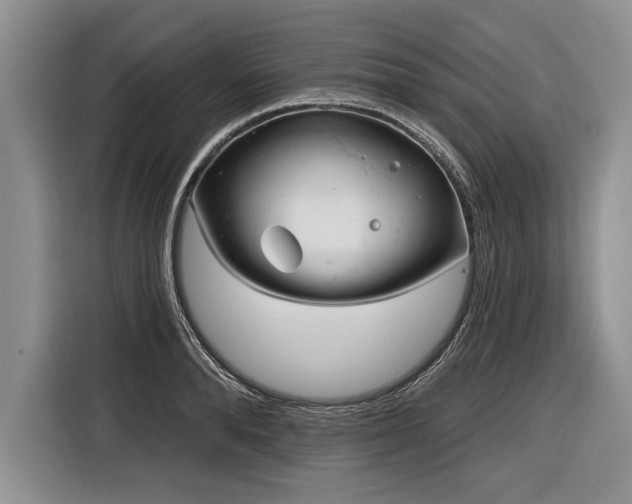 X0000116890896200912221451