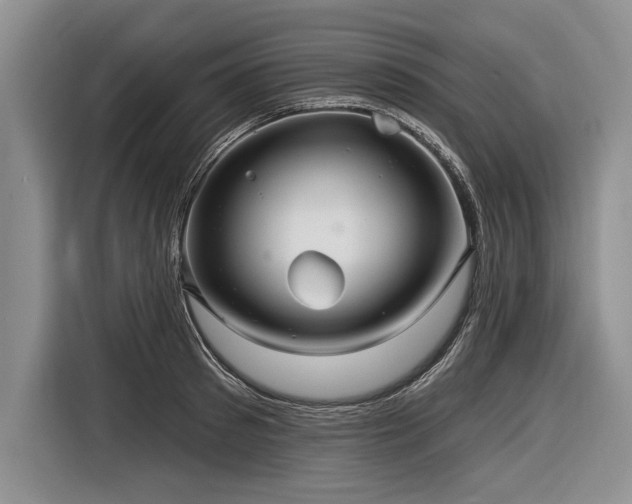 X0000116890897200912221451