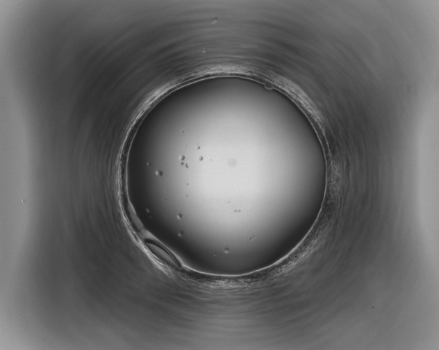 X0000116890898200912221451