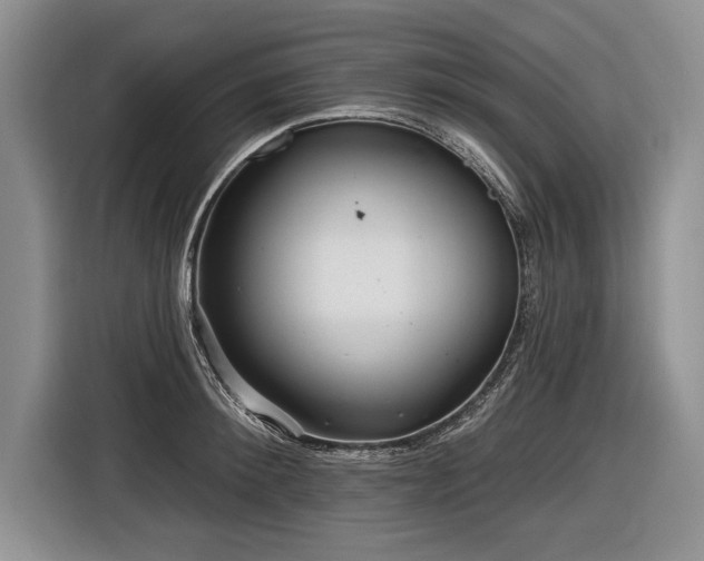 X0000116890900200912221451