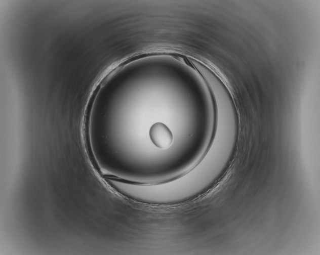 X0000116890901200912221451