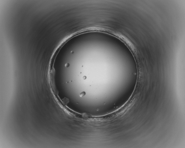 X0000116890902200912221451
