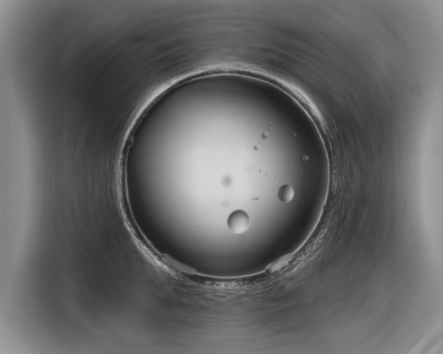 X0000116890903200912221451