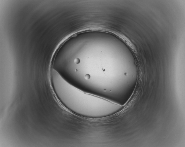 X0000116890904200912221451