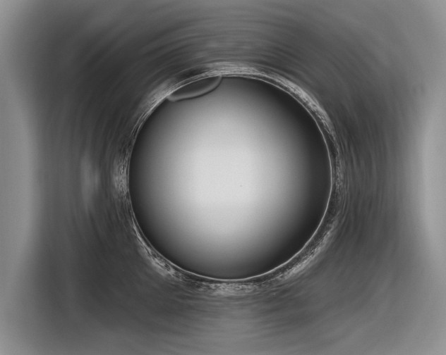 X0000116890905200912221451