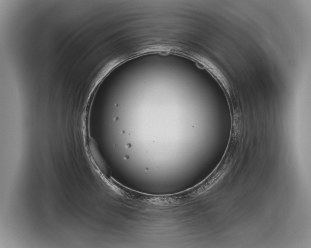X0000116890906200912221451