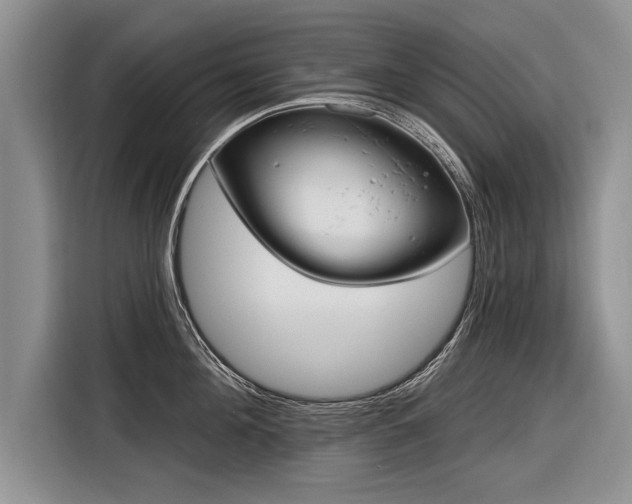 X0000116890908200912221451
