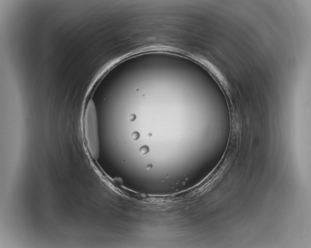 X0000116890910200912221451
