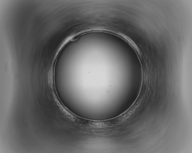 X0000116890911200912221451