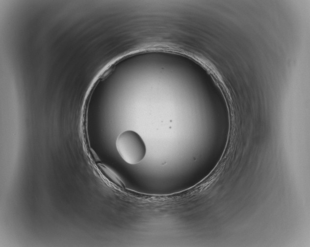 X0000116890912200912221451