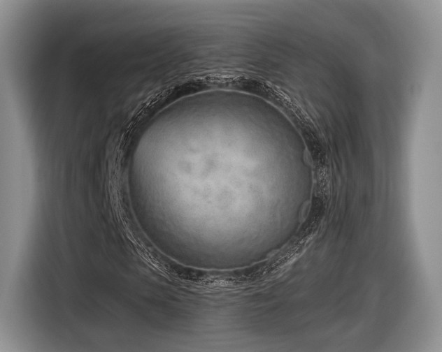 X0000116890913200912221450