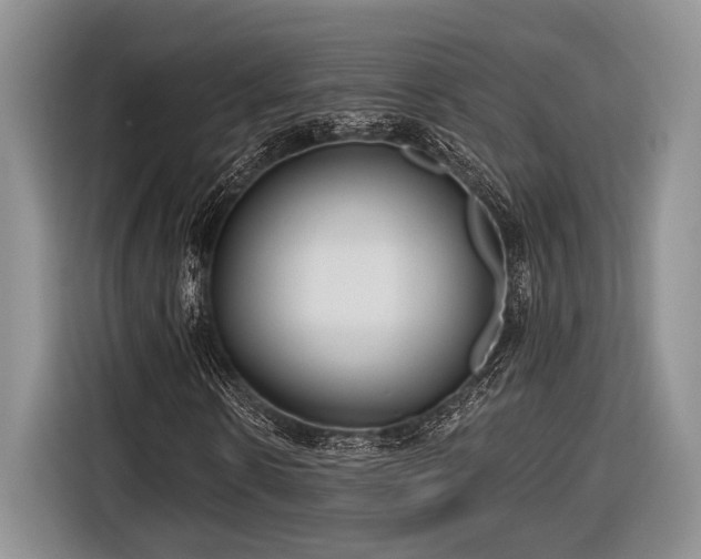 X0000116890914200912221450