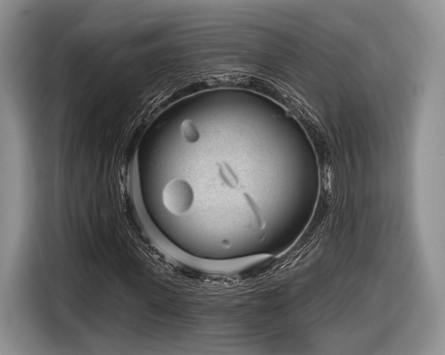 X0000116890915200912221450