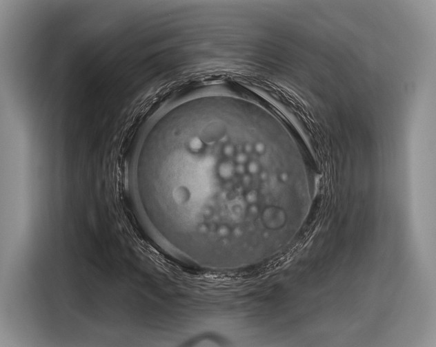 X0000116890917200912221450