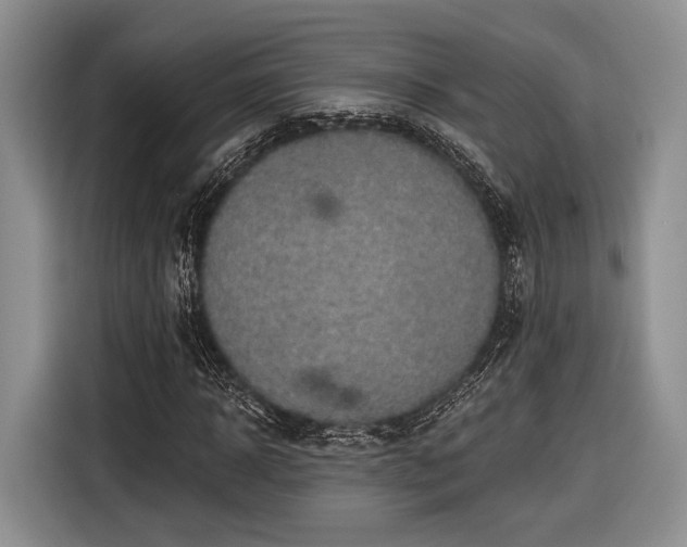 X0000116890918200912221450