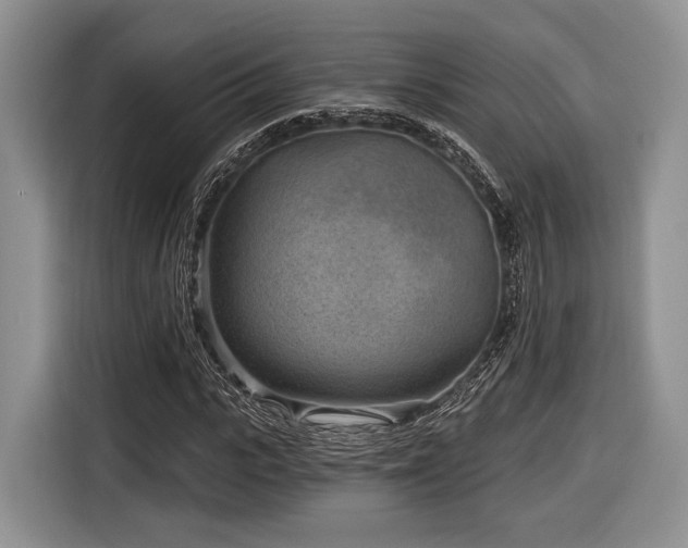 X0000116890919200912221450