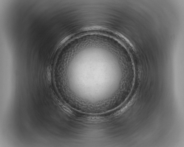 X0000116890921200912221450