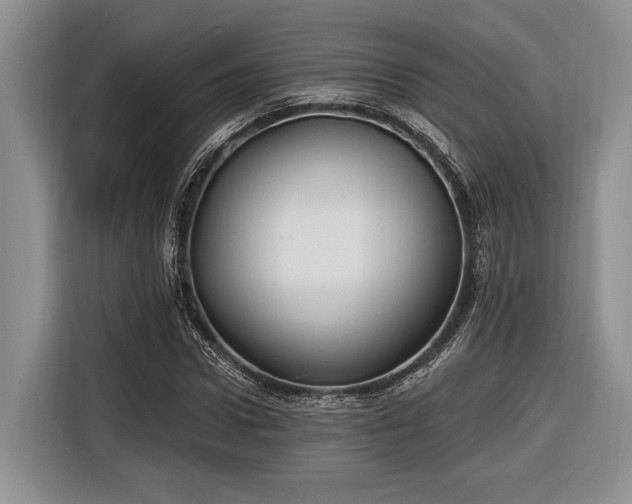 X0000116890922200912221450