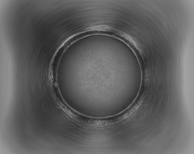 X0000116890923200912221450