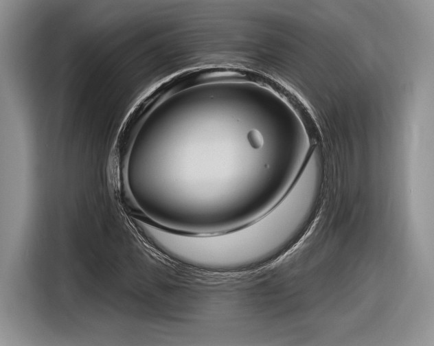 X0000116890925200912221450