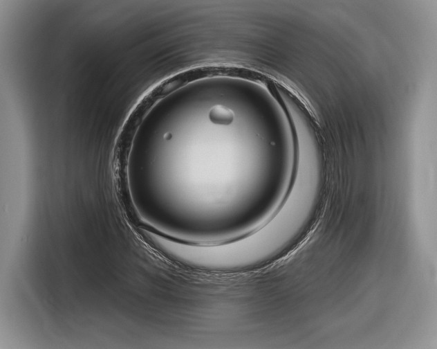 X0000116890926200912221450