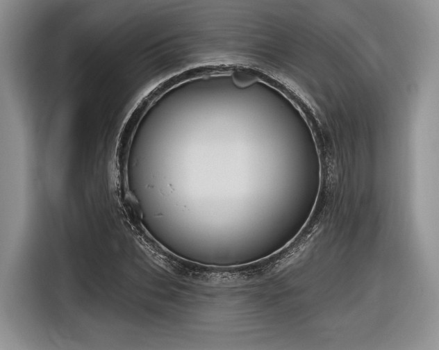 X0000116890927200912221450