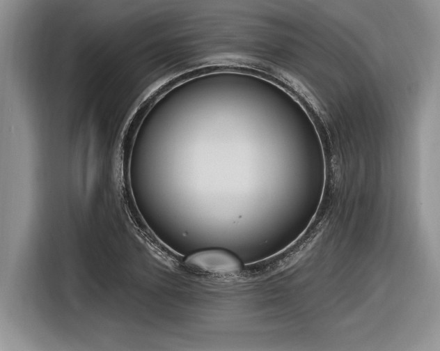 X0000116890931200912221450