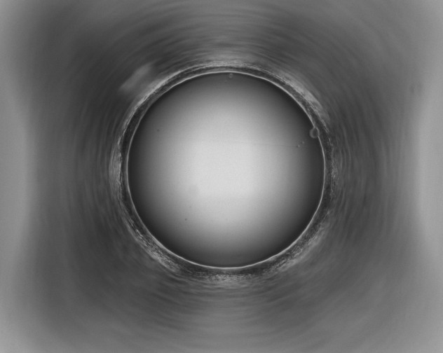 X0000116890933200912221450