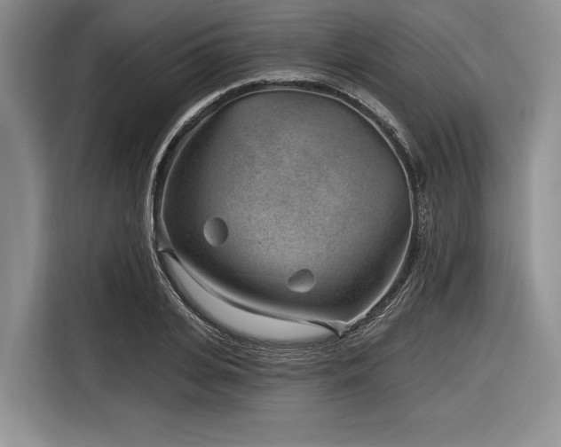 X0000116890935200912221450