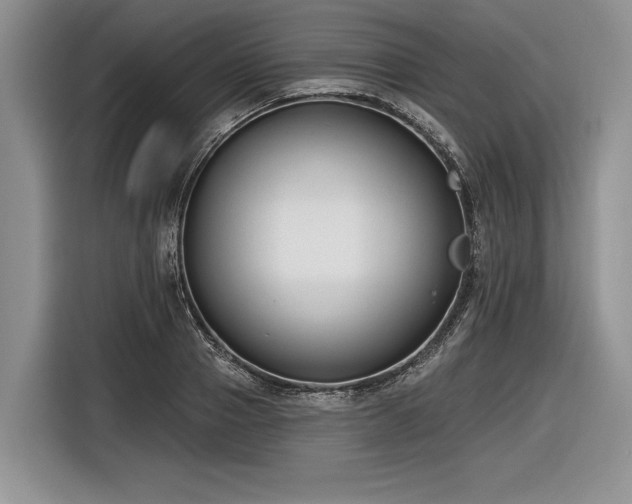X0000116890937200912221450