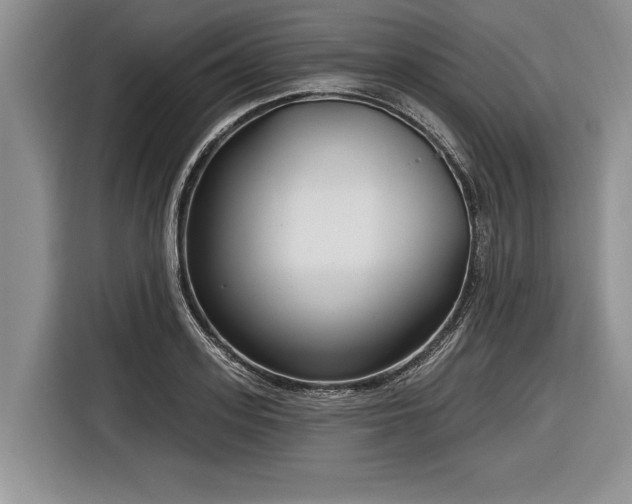 X0000116890939200912221450