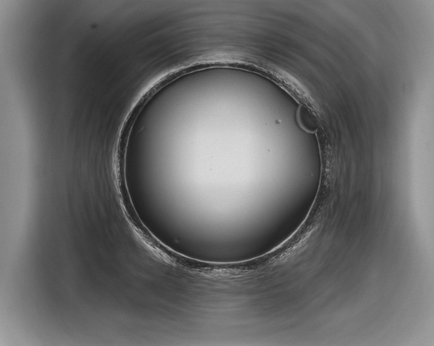 X0000116890942200912221450