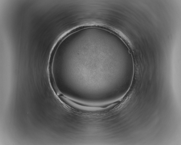 X0000116890943200912221450