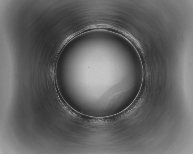 X0000116890945200912221451